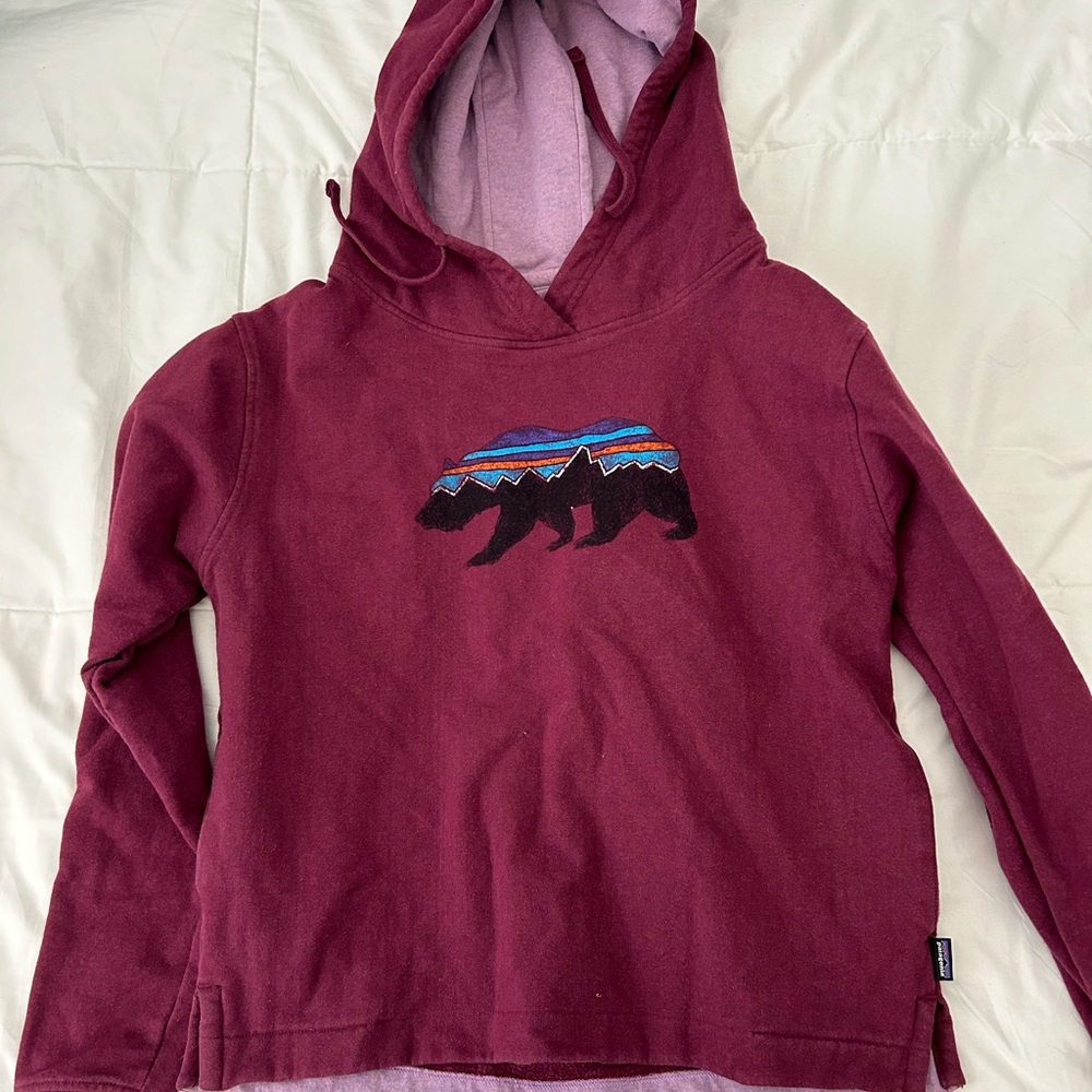 Burgundy Patagonia Hoodie